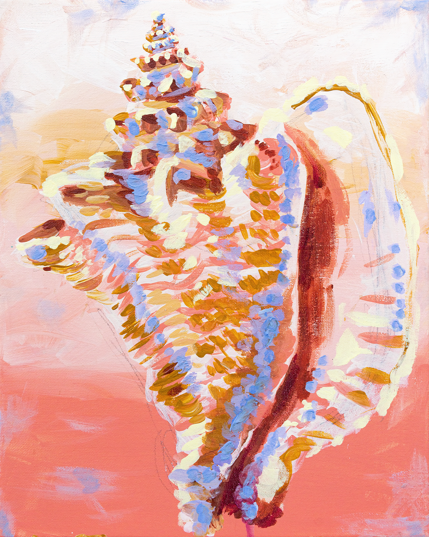 "Queen Conch" Fine Art Print
