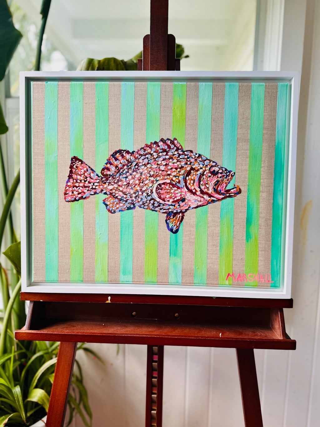 The Coral King ( Kitty Mitchell Grouper)