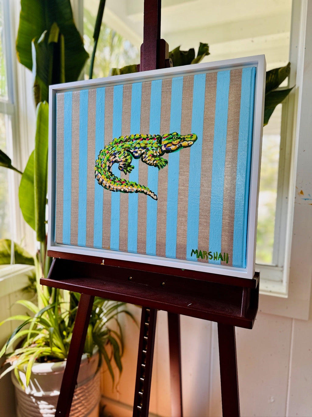 Swamp Samba (American Alligator)