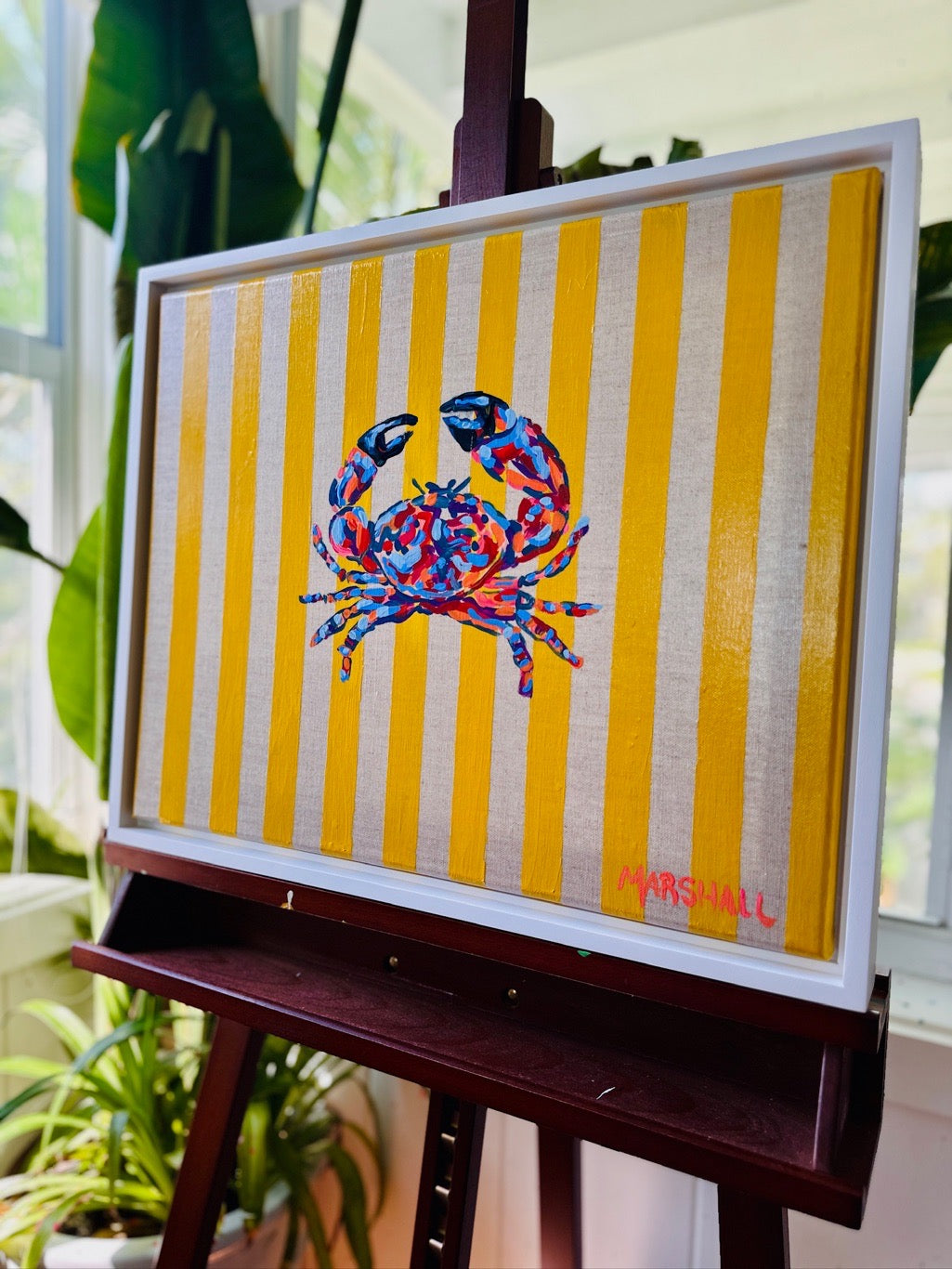 Sand Weaver (Stone Crab)