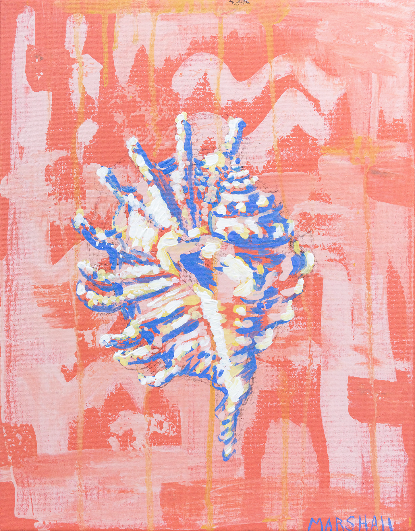 "Spiny Nautilus" Fine Art Print